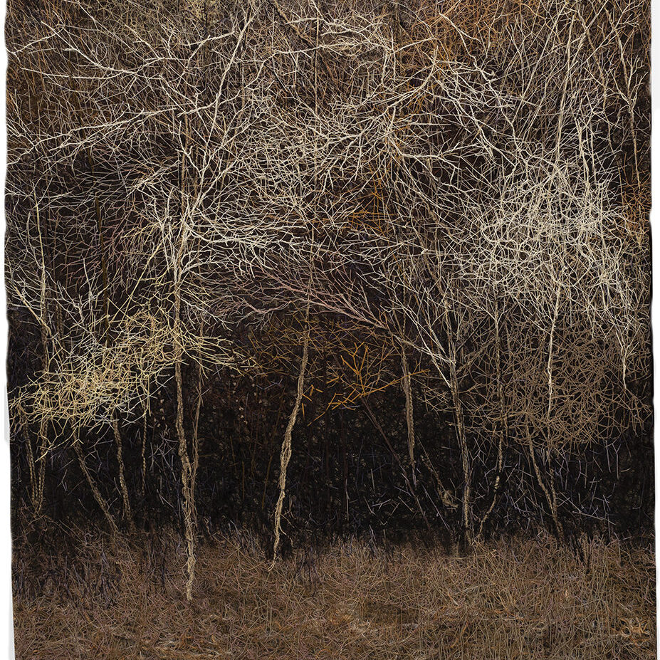 3. Trees in Late Autumn
54.5" x 59.5", Inspired by Symphony No 3.